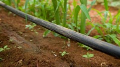 #BizTrends2017: Why more than ever, sustainability is good business