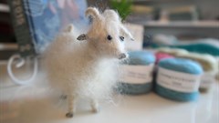 #SharetheBay: There's a rich history behind SA's 'diamond fibre' industry