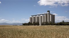 SA agribusiness: looking ahead to 2017