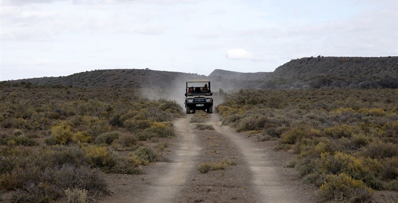 Sanbona Explorer Camp: A holistic safari adventure in the Klein Karoo
