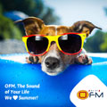 OFM turning up the volume this summer