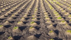 Uncertain times call for smart moves - the promise of agro-alliance