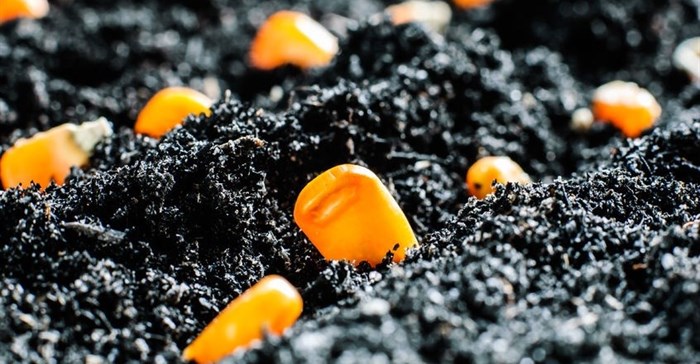 Addressing lack of access to seeds for smallholder farmers