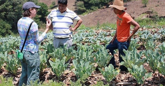 Battling climate change with holistic solutions