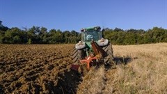 Tanzania to hold agricultural show in January