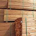 Ensure imported wood is compliant, warns ITC-SA