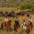 Ten reasons why you need to experience a luxury Botswana safari