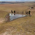 Drought takes its toll in Eastern Cape