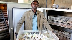 Commercialisation of agriculture in Tanzania to be private sector-led