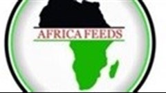 News portal telling Africa's story launches in Ghana