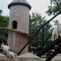 Fairview goats get a skywalk and playpark