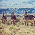 Ten reasons why you should explore the Karoo in 2017