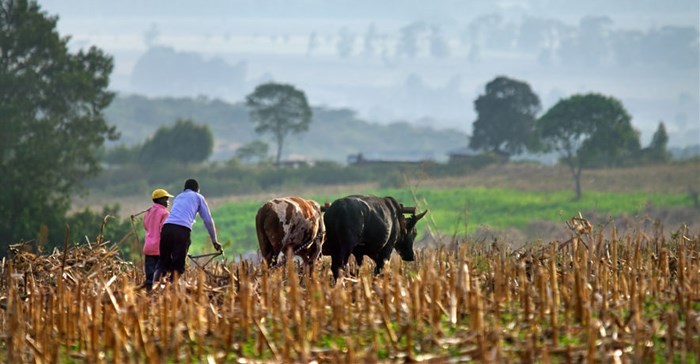 African agriculture on the World Economic Forum annual meeting agenda