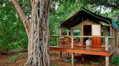 Discover Moremi Game Reserve