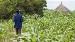 What does the future hold for Africa's farmers?
