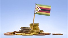 Zimbabwe slaps VAT on basic foodstuffs