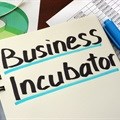 12 new start-ups selected for NEA incubation programme