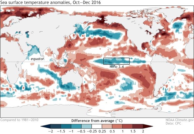 Average sea surface temperature during October – December 2016, shown as departure from the long-term (1981-2010) average. Climate.gov figure from CPC data.