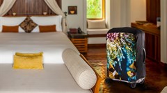 Samsonite and Uzwelo Luggage Cover