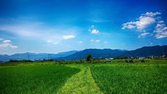 Image by Pixabay.com