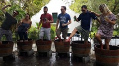 Stomping up a storm.