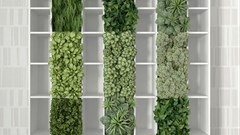 #DesignMonth: How to revive retail interior using Pantone's Colour of the Year