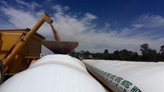 Deal provides SA maize farmers with innovative grain storage solution