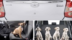 Screengrabs from the ad.