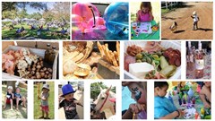 Scenes from the Groote Post market