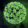 Vaccine 90-100% effective against HPV
