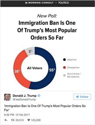 Social analysis shows majority of Americans against Trump's immigration order