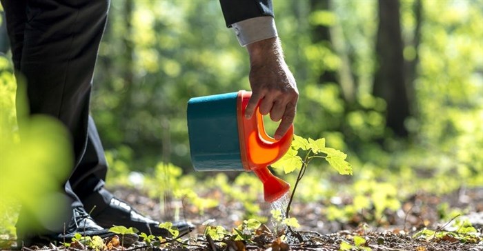 Afgri pursues Bank of Athens' SA stake