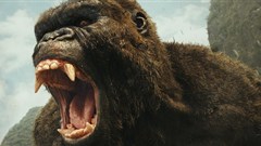 #OnTheBigScreen: Heroes and nocturnal animals