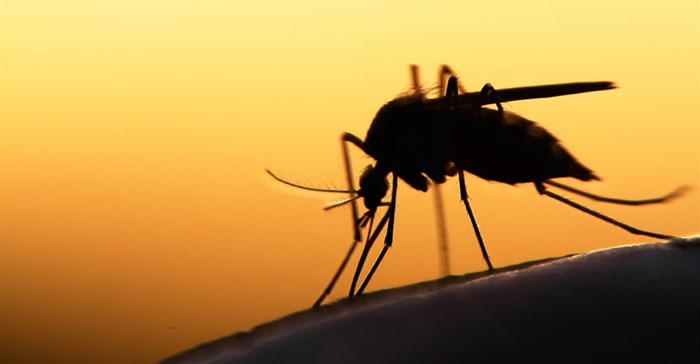 Climate change could enlarge malaria areas in SA