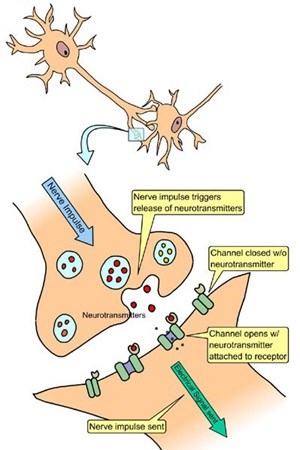 Emotional Intelligence: It is all about balance