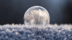 Image © The Observatory International.