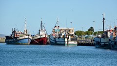 BCC to ensure health of Benguela Current ecosystem through sustainable management