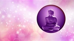 Despite sounding zen, living in our own bubbles or echo chambers isn't ideal. Image © Nikki Zalewski –