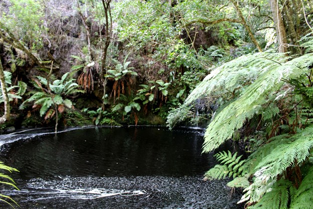 Five ways to explore Knysna