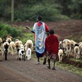 Collective land tenure is under threat in Kenya. Why it needs to be protected