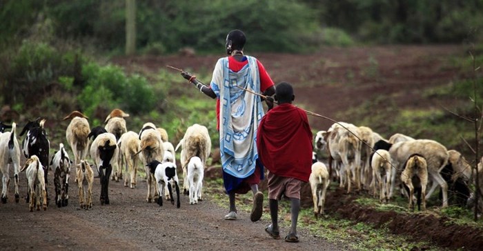 Collective land tenure is under threat in Kenya. Why it needs to be protected