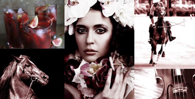 VDeluxe adds ISPS Handa ‘Art of Polo' Cup to its stable