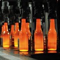 AB InBev bets on renewables for future energy