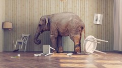 Victor Zastolskiy © -