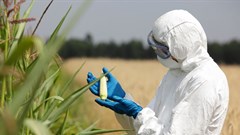 The challenge ahead: Harnessing gene editing to sustainable agriculture