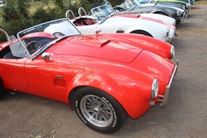 The Snakepit will build a Backdraft Cobra from scratch in the Rand Show’s motoring hall, going from the rolling chassis to complete car in just 10 days. 14-23 April 2017, at Nasrec.