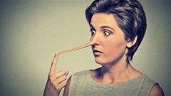 Seven lessons in corporate honesty