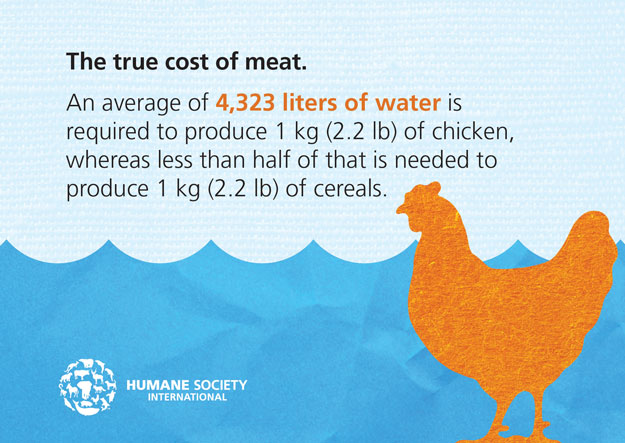 #GreenMondaySA: Eat less meat, save the world