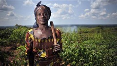 - agrigenderjournal.com