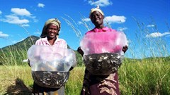 US Department of State via